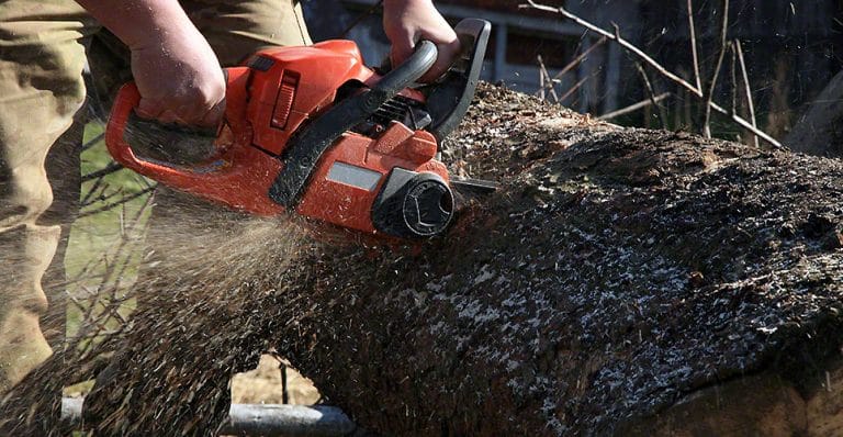 Man cuts a fallen tree into logs | DSI Contractors